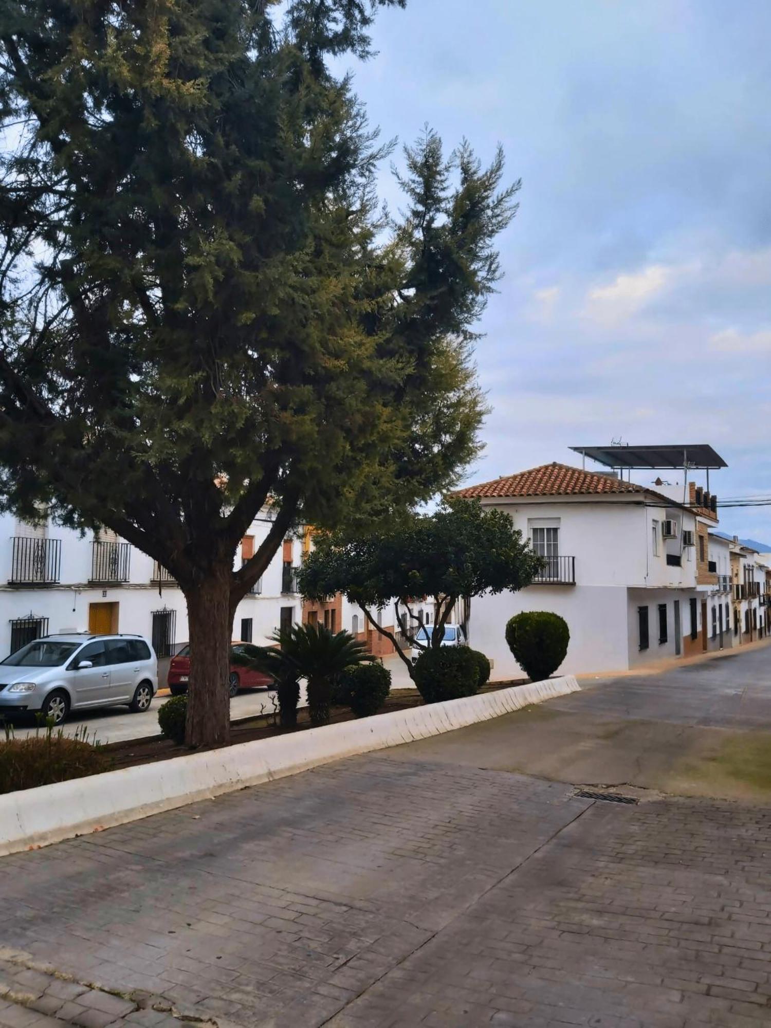 Villa Arcadia Centro De Andalucia Encinas Reales Exterior foto